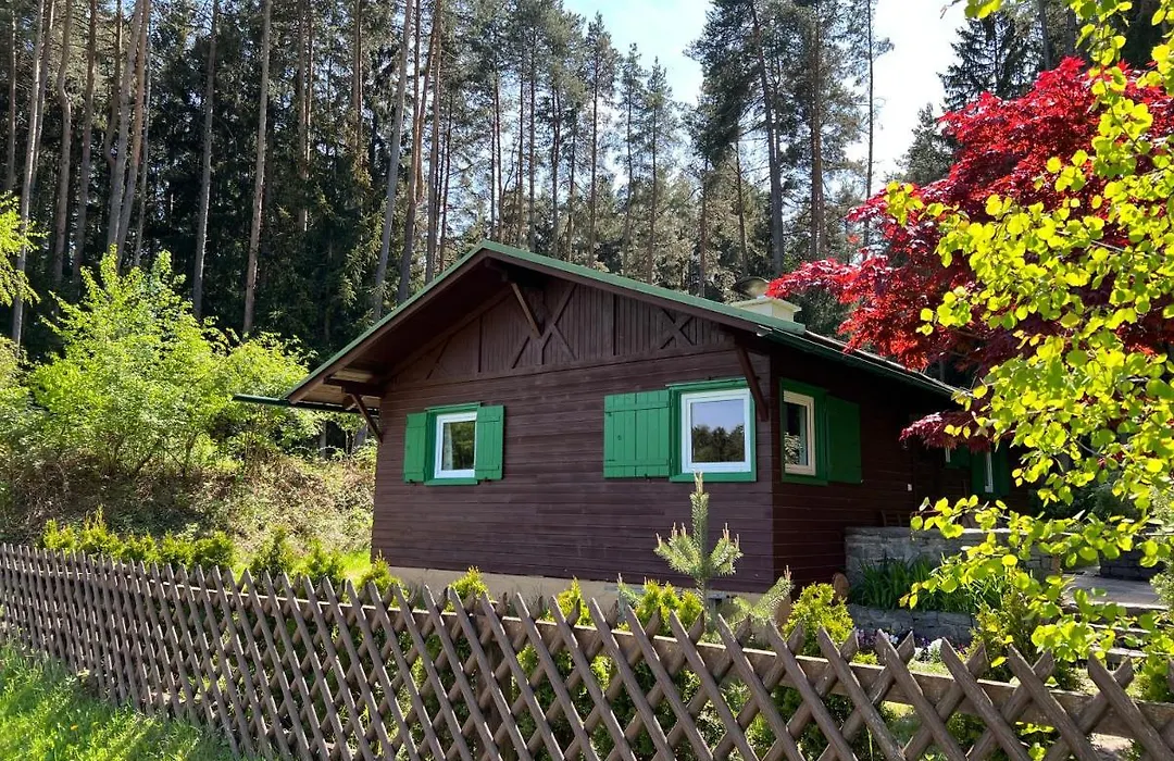Waldchalet am Eichhof-1